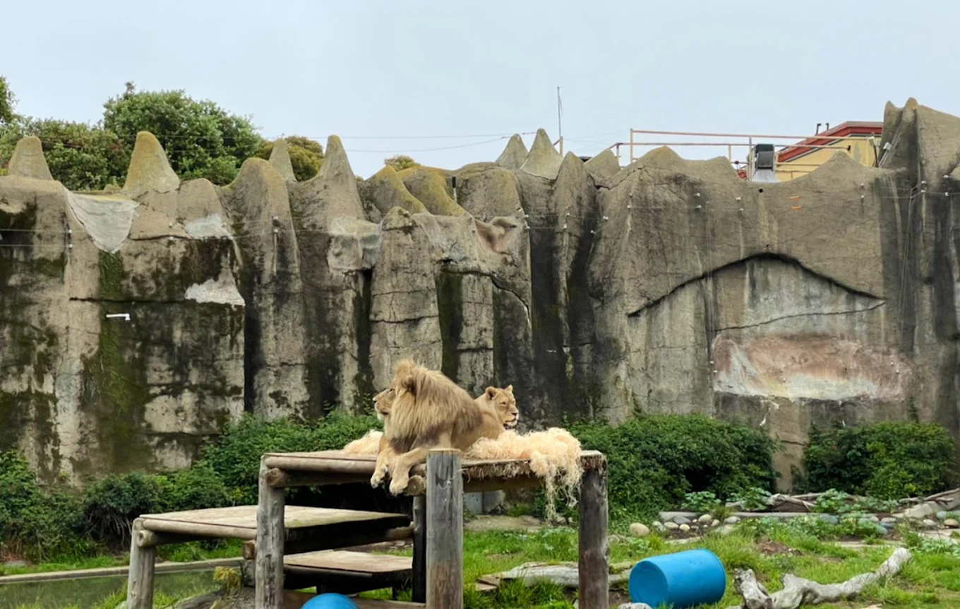 San Francisco Zoo