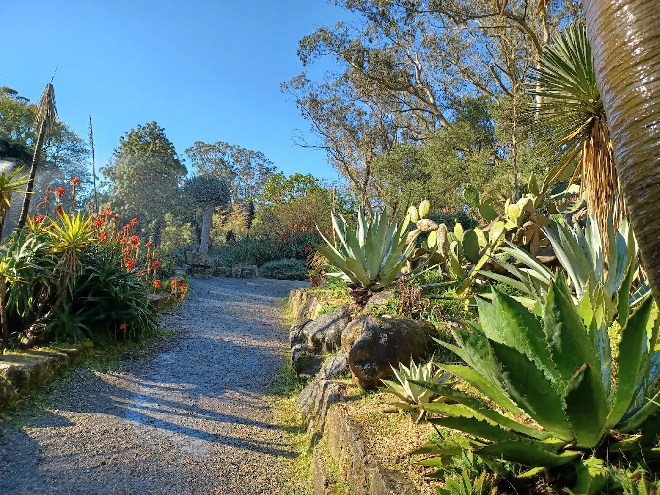 San Francisco Botanical Garden