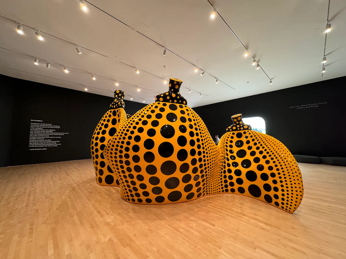 San Francisco Museum of Modern Art