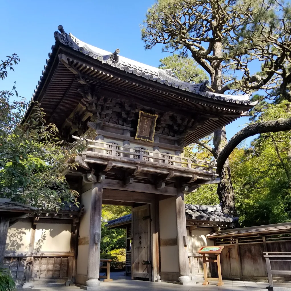Golden Gate Park