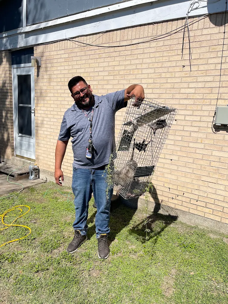 Resolve Pest And Termite Control