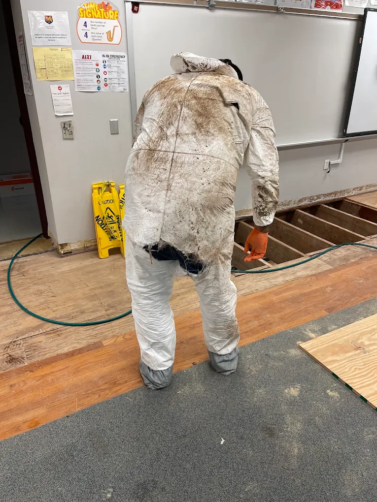 Resolve Pest And Termite Control