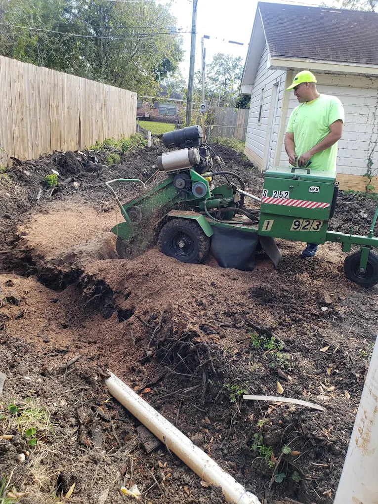 Tree Solutions of Texas