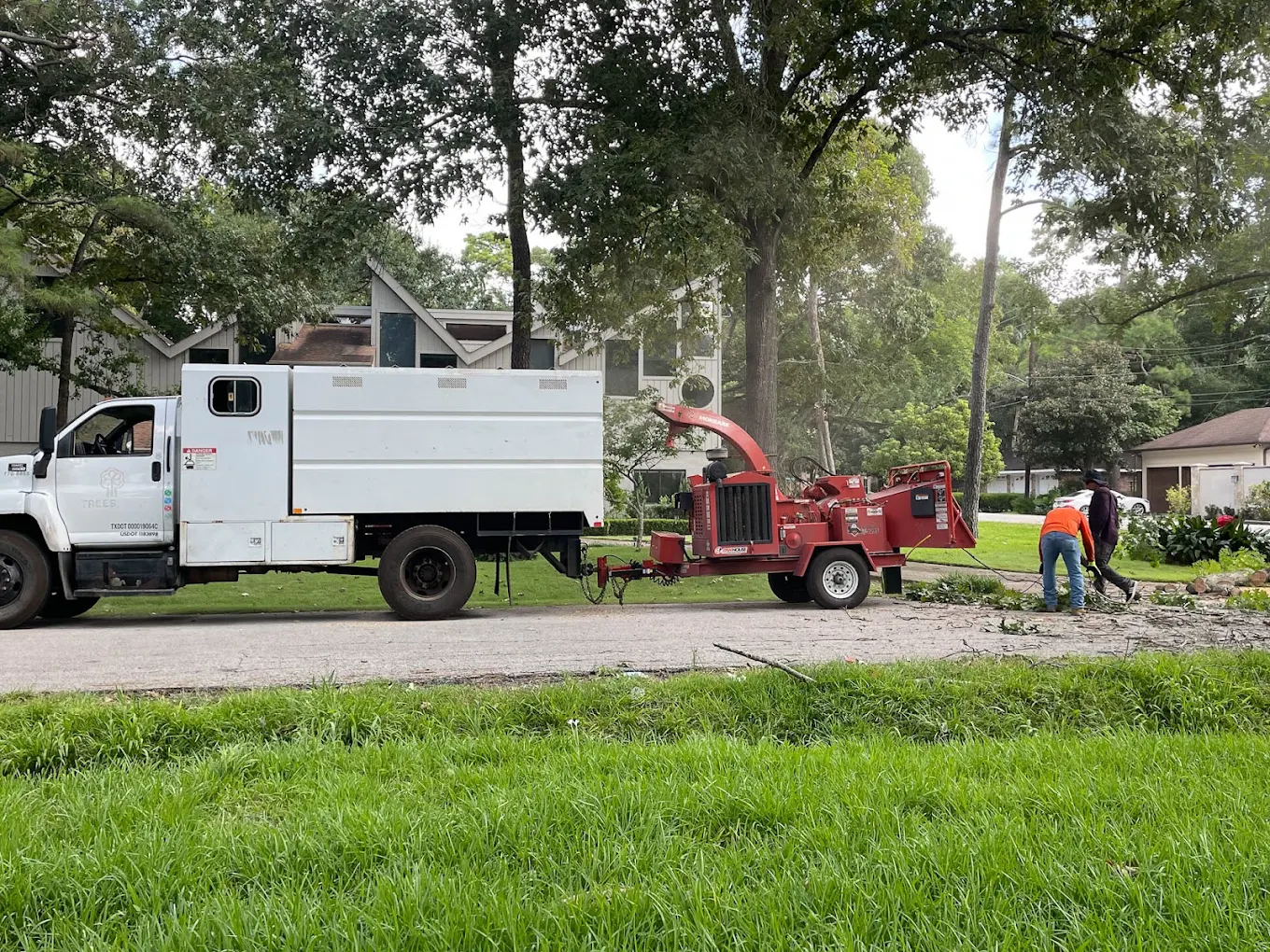 Tree Solutions of Texas