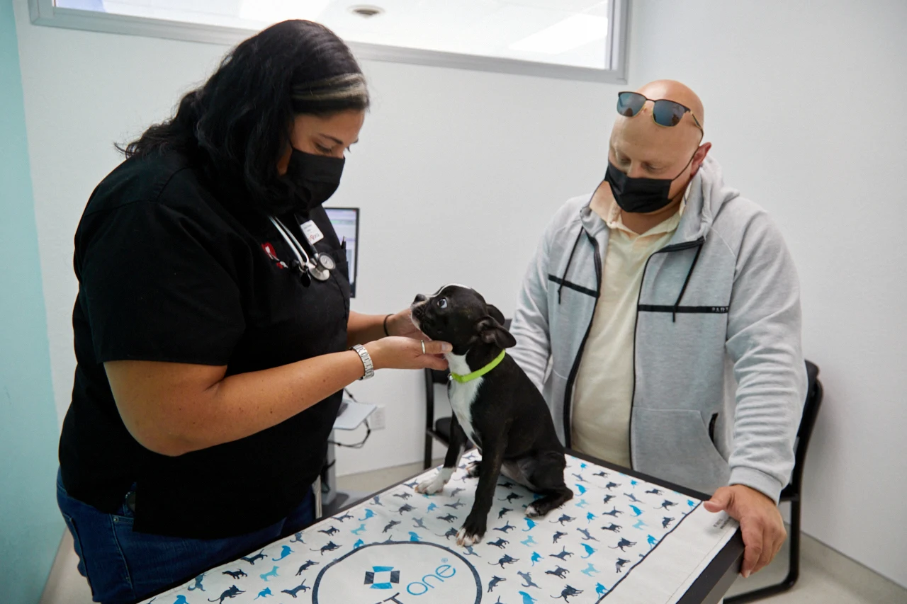 San Francisco SPCA Community Veterinary Clinic