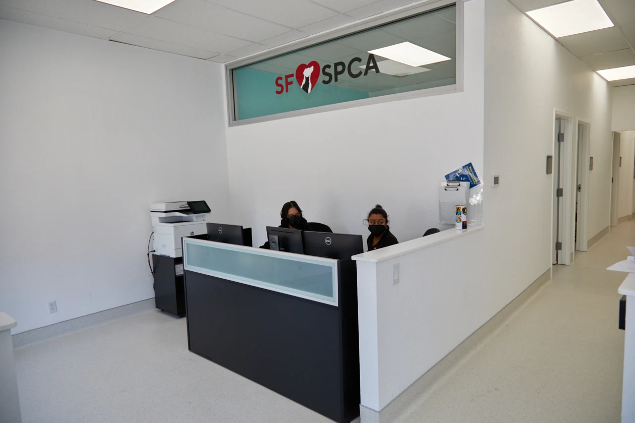 San Francisco SPCA Community Veterinary Clinic