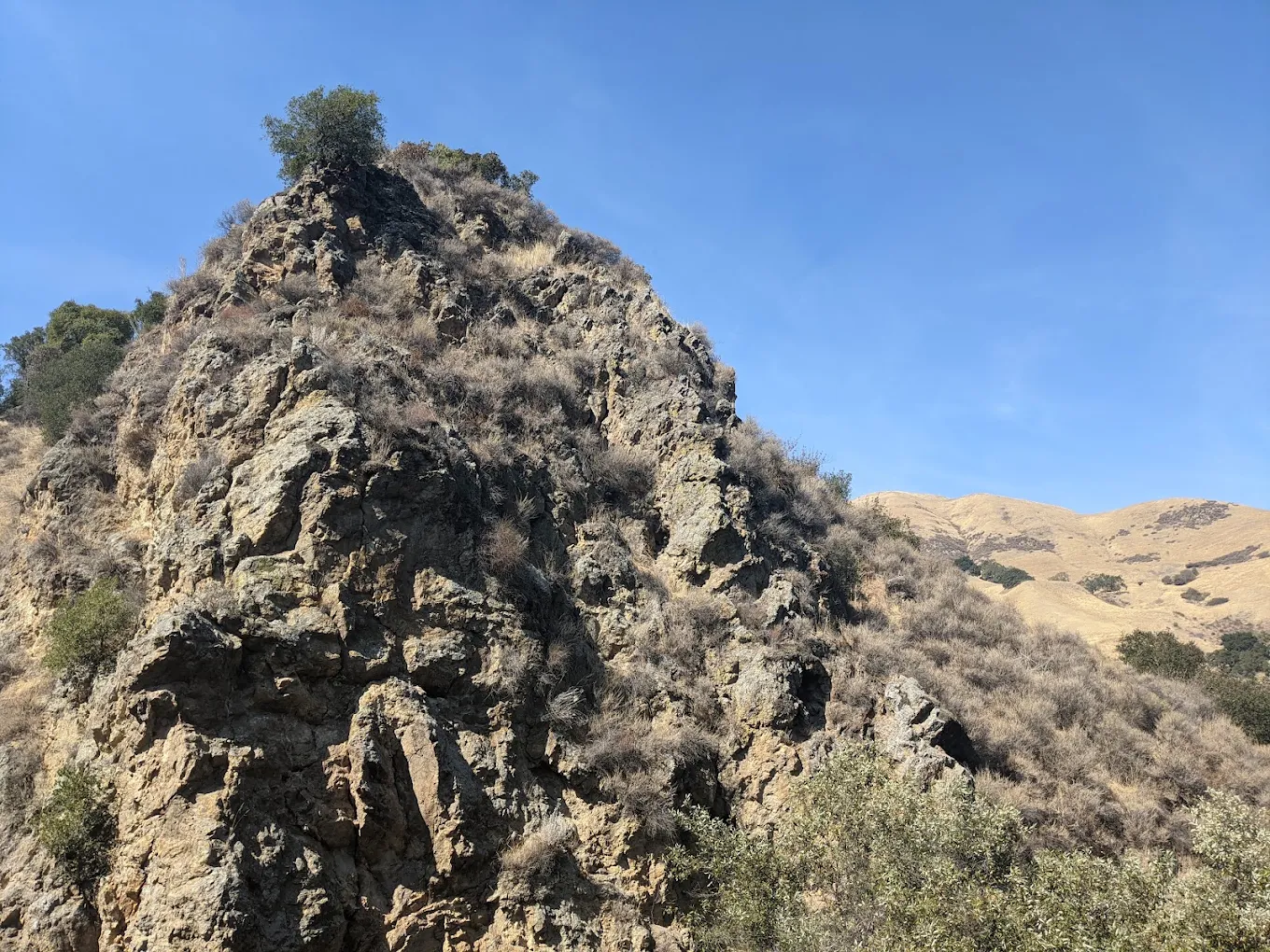 Alum Rock Park