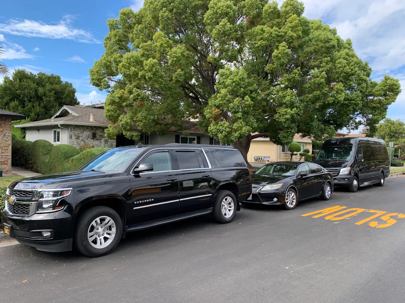 Genesis Transportation