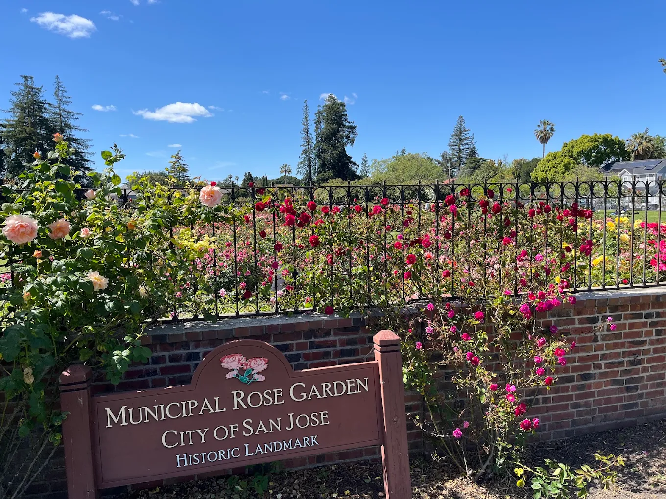 Municipal Rose Garden