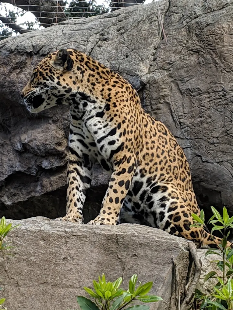 Happy Hollow Park & Zoo