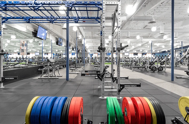 Vim + Vigor Fitness