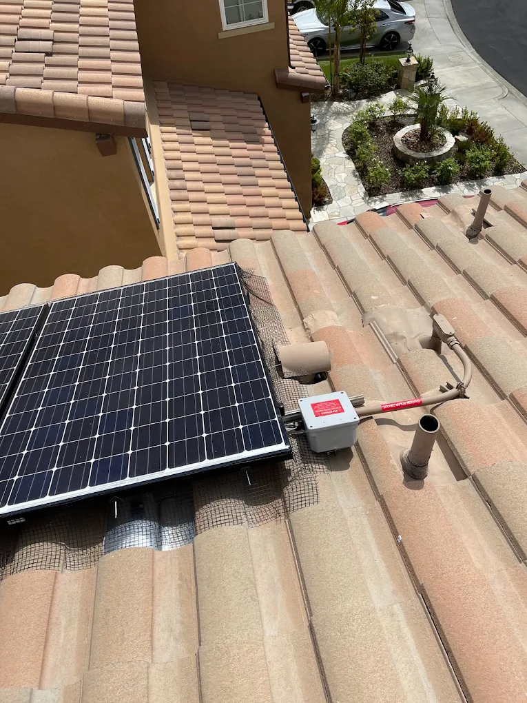 Traction Wildlife and Pest Control