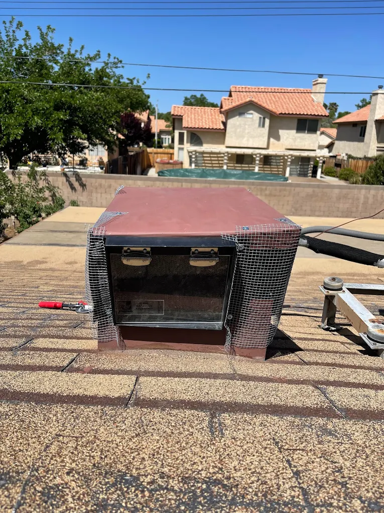 Traction Wildlife and Pest Control