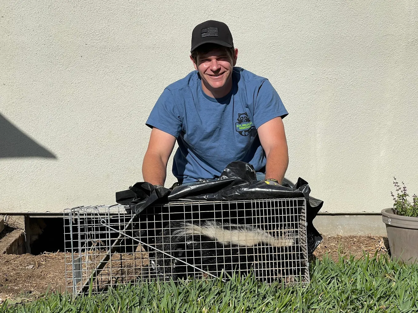 Traction Wildlife and Pest Control