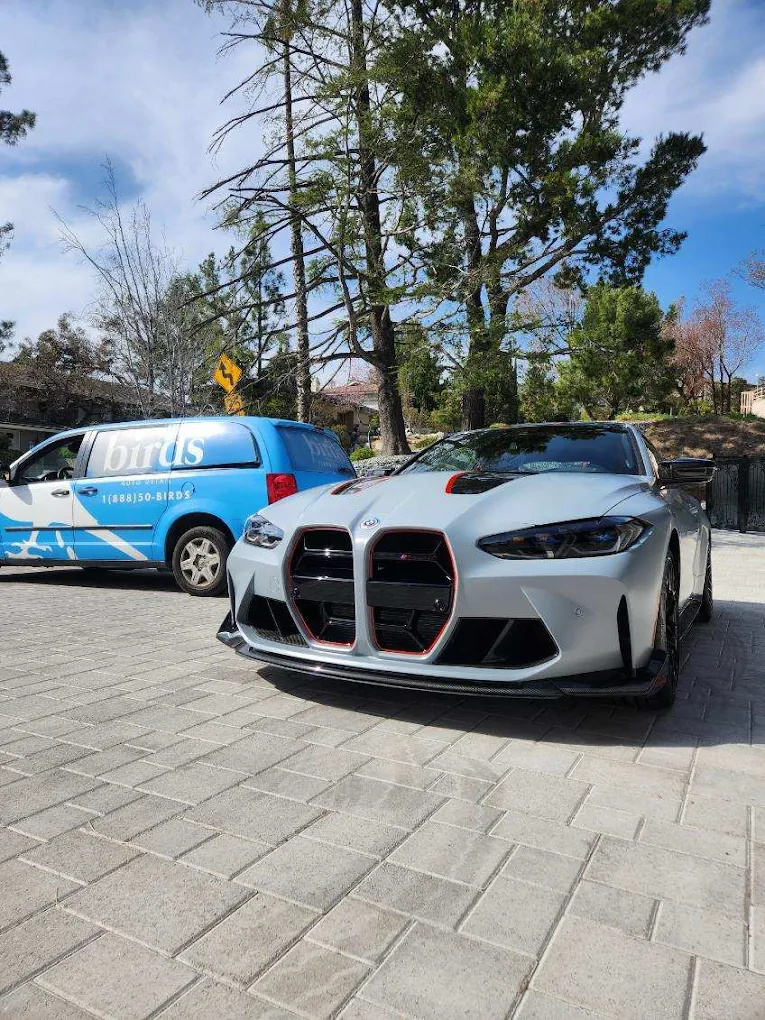 Birds Auto Detail and Ceramic Coatings