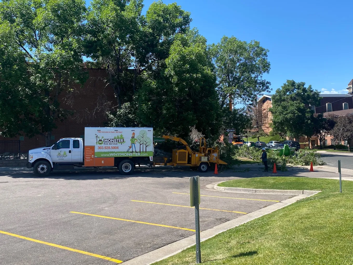 Monster Tree Service of Southeast Denver