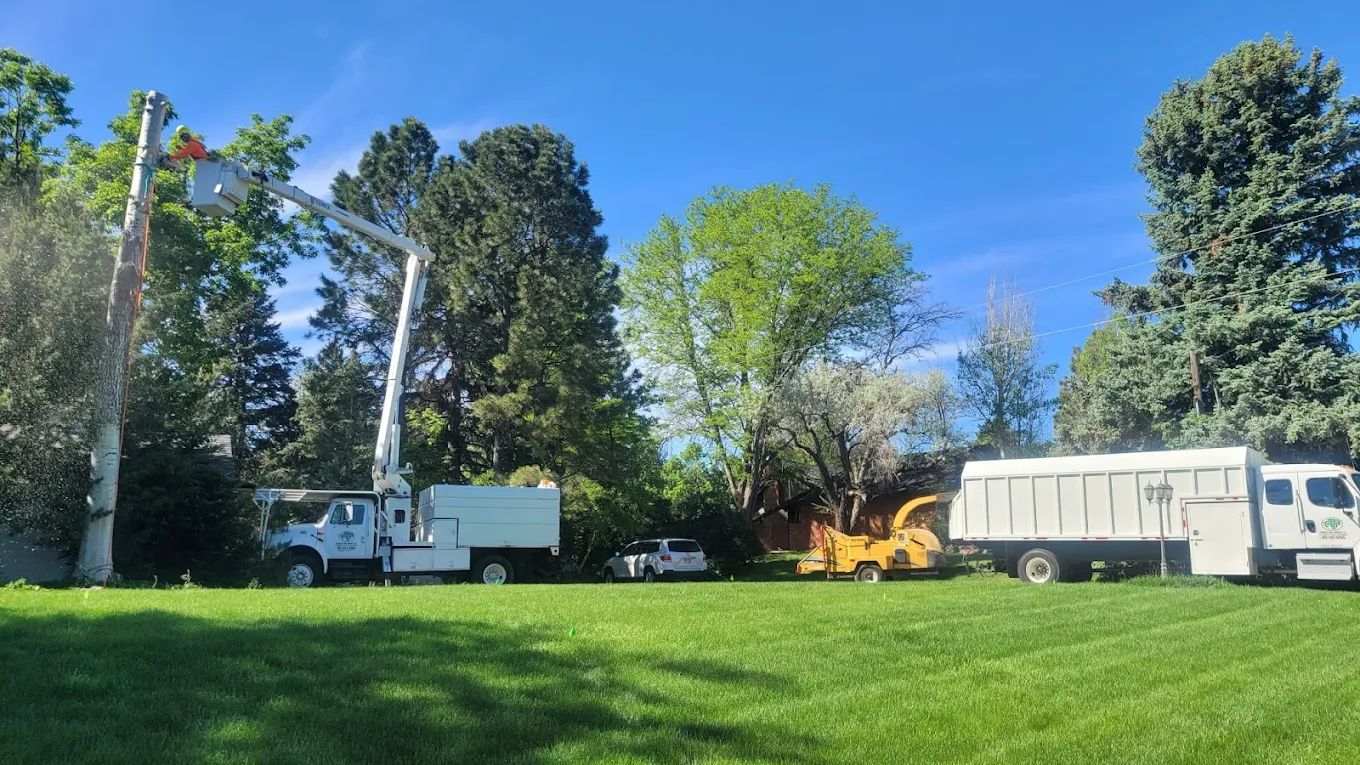 Canales Tree Service LLC