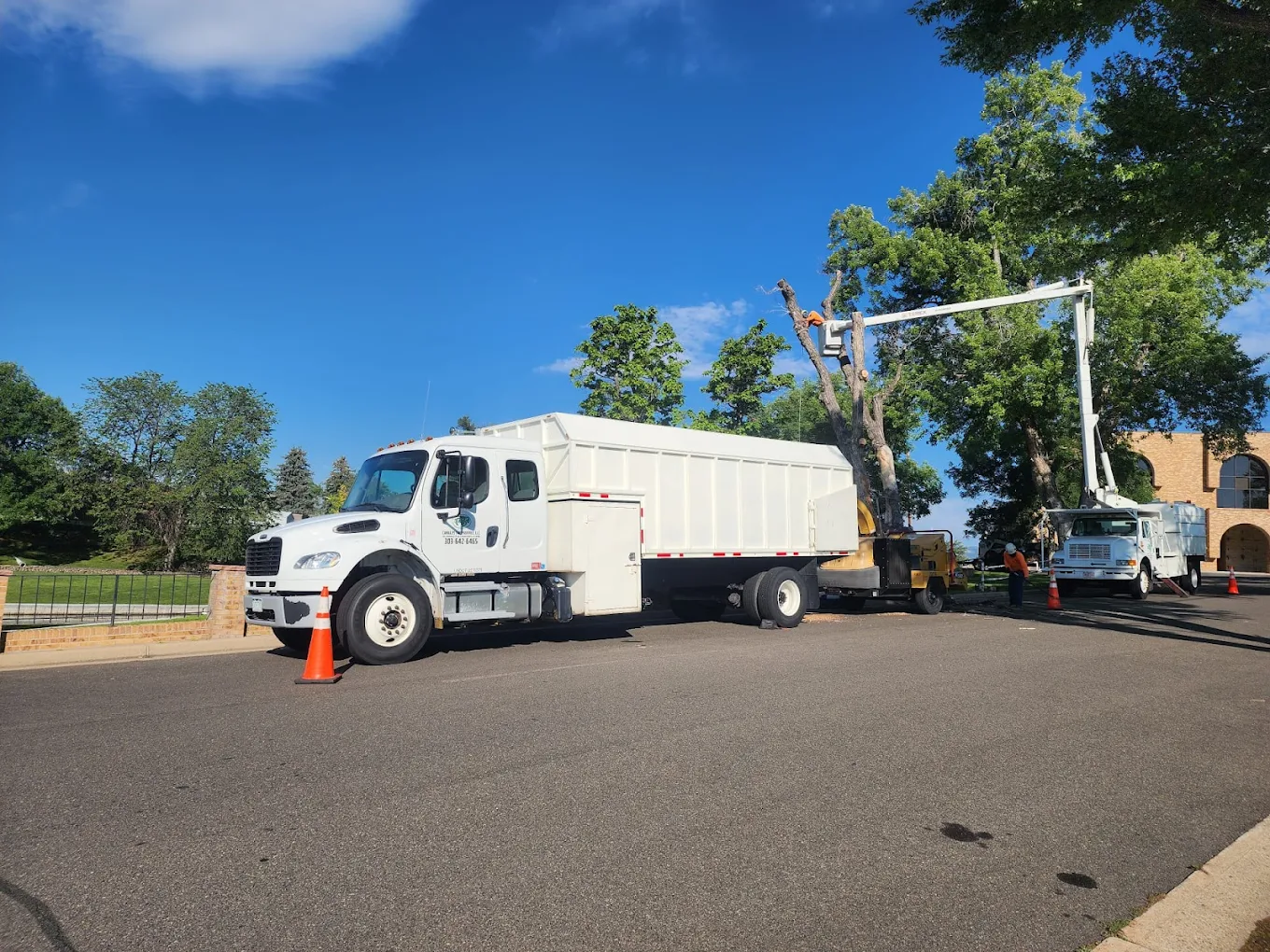 Canales Tree Service LLC