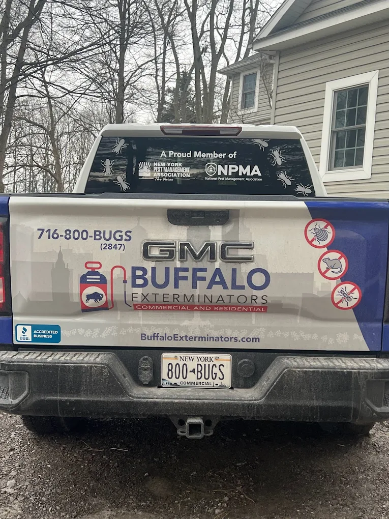 Buffalo Exterminators