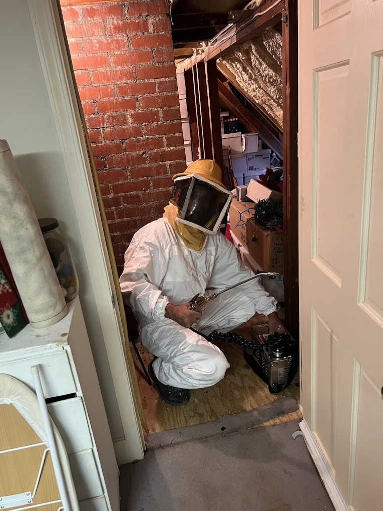 Buffalo Exterminators