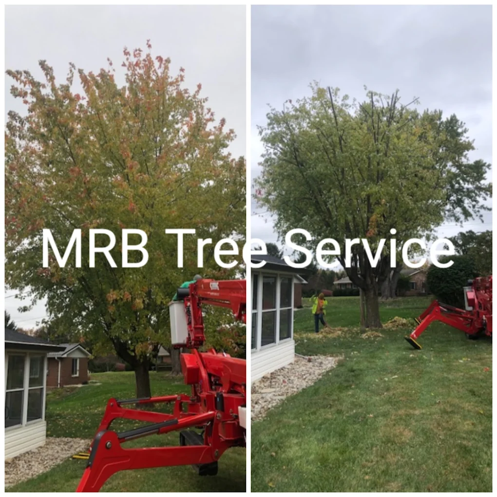 MRB Tree Service 