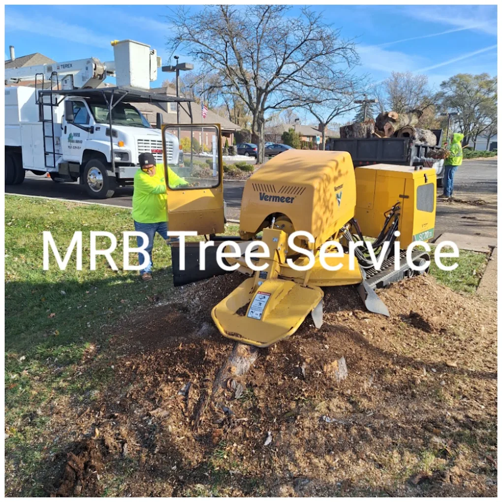 MRB Tree Service 