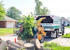 Salas Tree Service