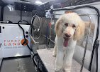 Furry Land Mobile Grooming